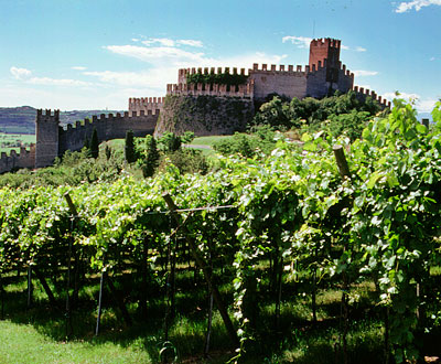 Soave
